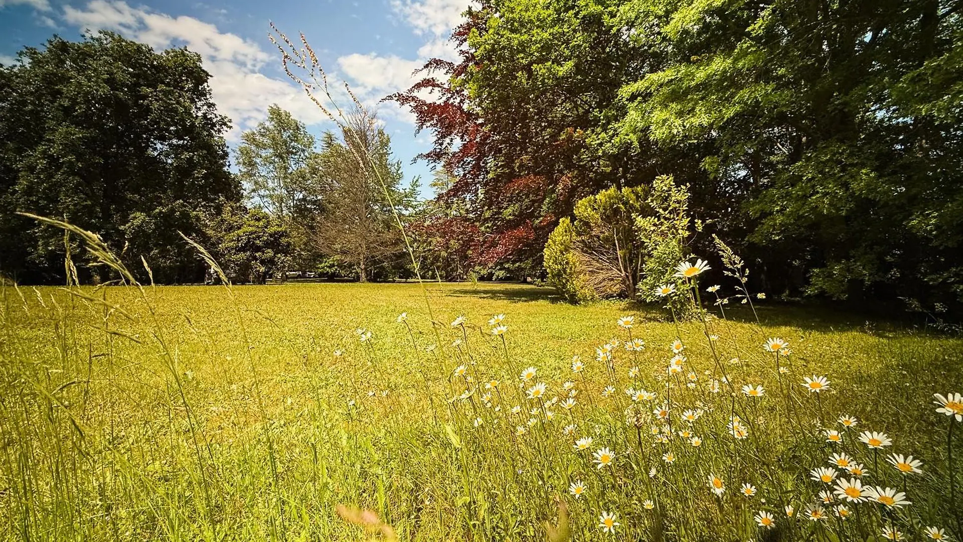 Prázdninový dům Petite Maison Dans Grand Parc Rieux-de-Pelleport Francie
